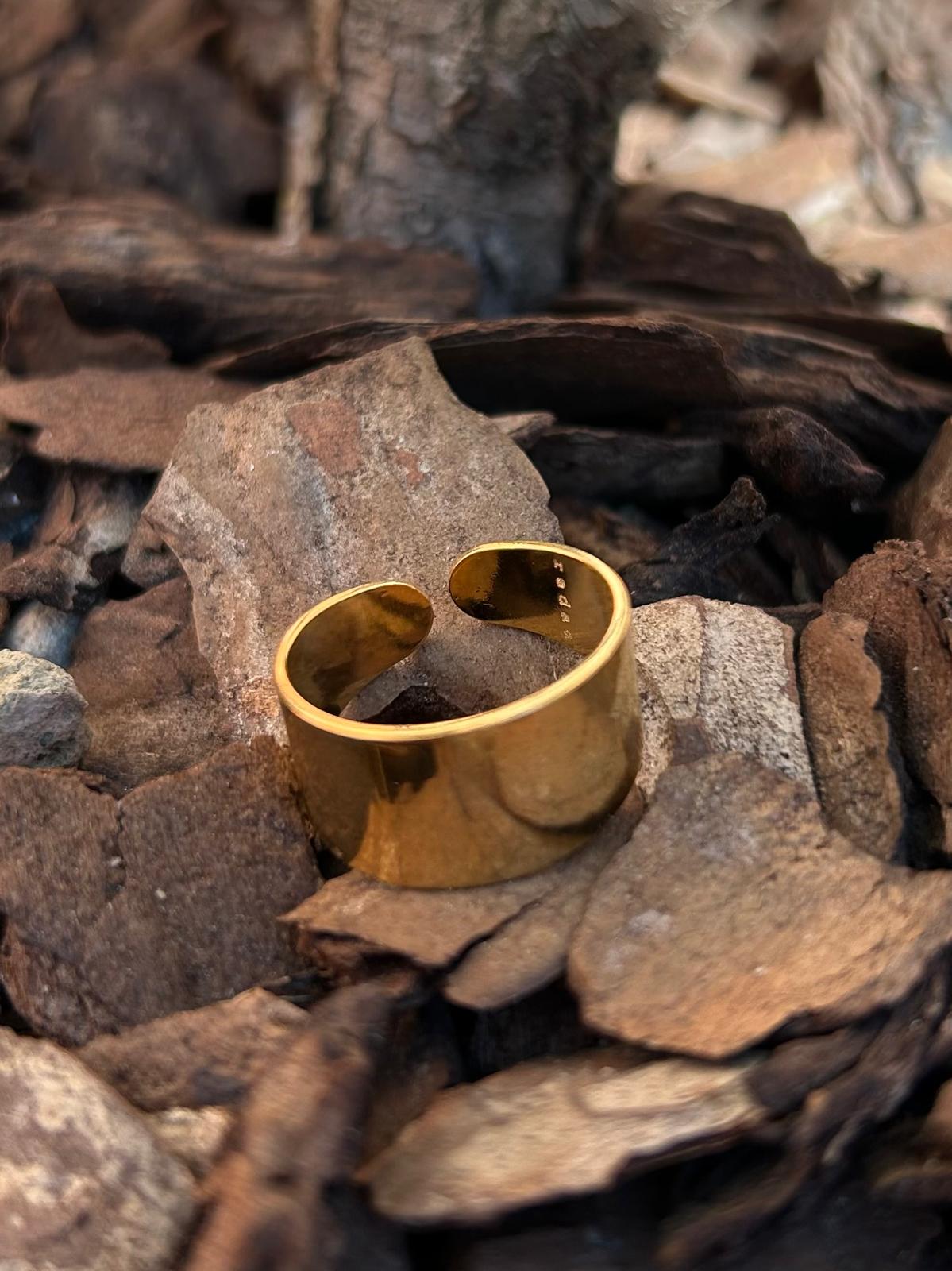 Anello Mignolo - redaa - Anello