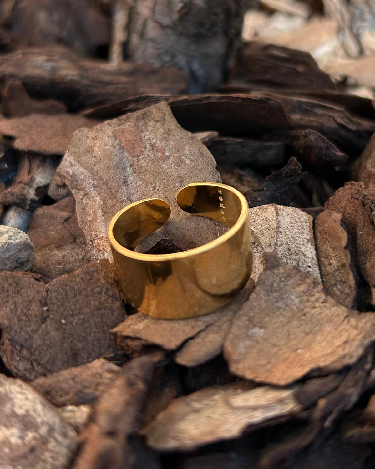 Anello Mignolo - redaa - Anello